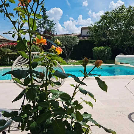Petit De Provence Mazan