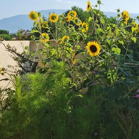 Petit De Provence Hébergement de vacances *