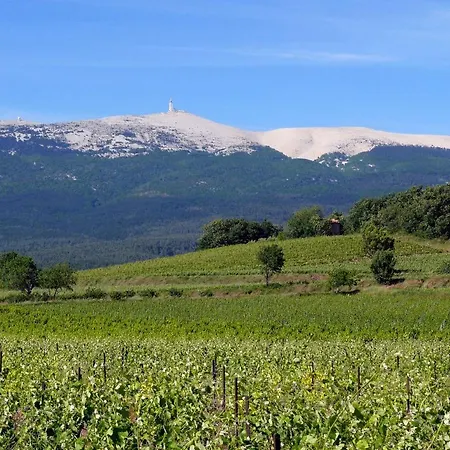 Petit De Provence * Mazan