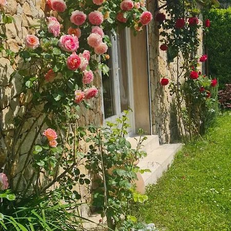 Petit De Provence * Mazan